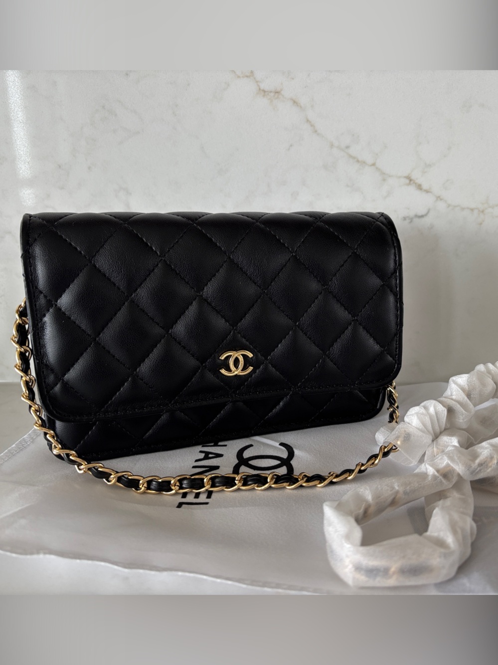 Black Quilted Mini Chain Wallet Shoulder Bag